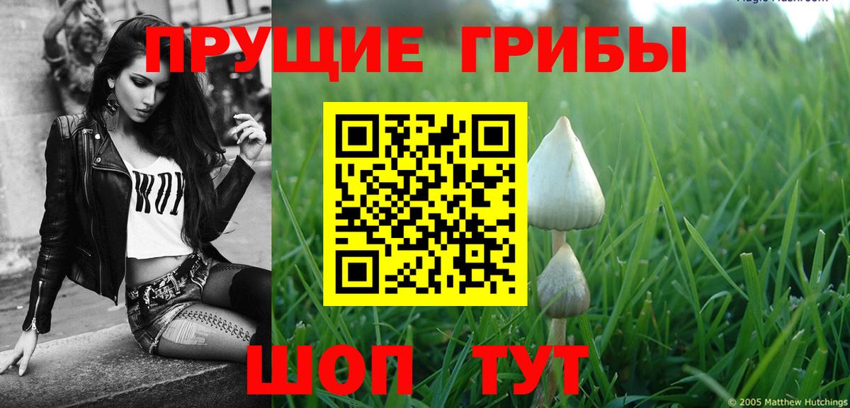 Галлюциногенные грибы мухоморы Альметьевск